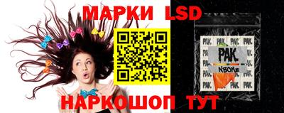 гашик Донецк