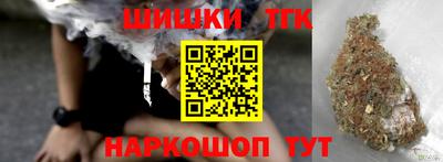 шишки Дубна