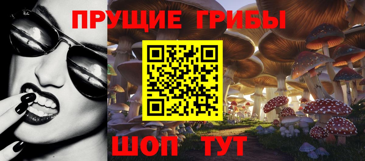 Малгобек  Псилоцибиновые грибы Psilocybine cubensis  Вход с VPN 