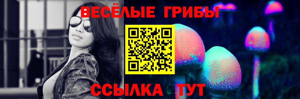 Псилоцибиновые грибы Psilocybine cubensis Малгобек
